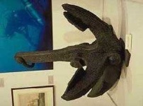image of anchor