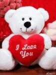 image of teddy_bear