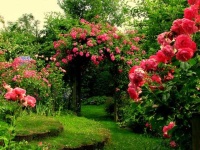 image of garden