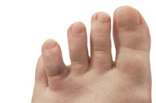 image of human_body_parts