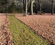 image of rake