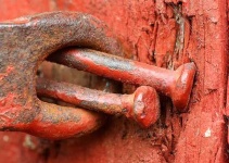 image of nail