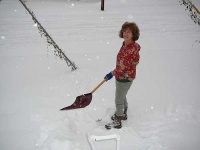 image of shovel