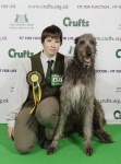 image of scottish_deerhound #0