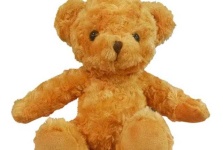 image of teddy_bear