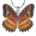image of jewellery