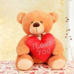 image of teddy_bear