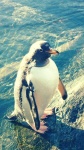 image of animal
