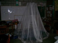 image of mosquito_net