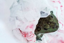 image of plastic_bag