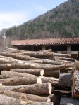image of lumbermill