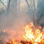 image of wildfire