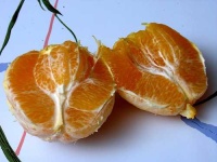 image of orange