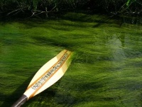 image of paddle