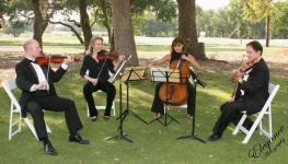 image of cello