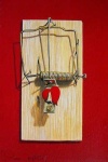 image of mousetrap