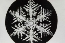 image of snowflake