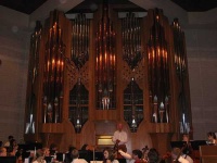 image of organ #12