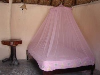 image of mosquito_net