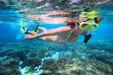 image of snorkel