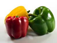 image of capsicum #27