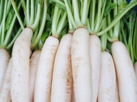 image of fruit_and_vegetable