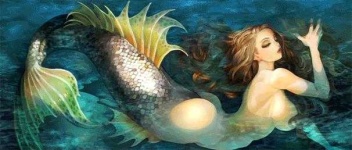 image of mermaid