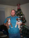 image of bluetick