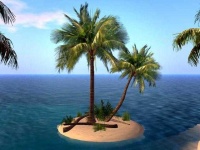 image of palm_tree #31