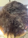 image of texture