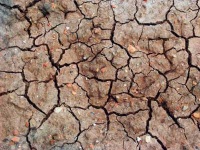 image of texture