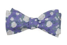 image of bowtie