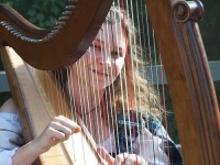 image of harp