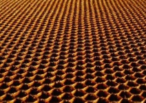 image of honeycomb