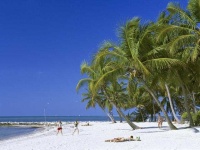 image of beach