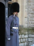 image of bearskin