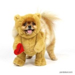 image of teddy_bear