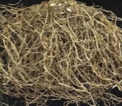 image of texture