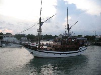 image of pirate_ship #100