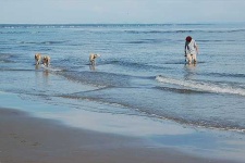 image of sandbar