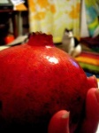 image of pomegranate
