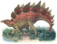image of stegosaurus