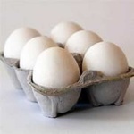 image of egg_shell #7