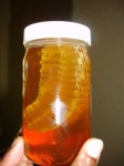 image of honeycomb