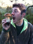 image of bolete