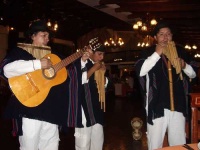image of panpipe