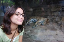 image of jaguar_car