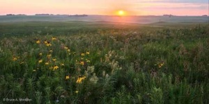 image of prairie