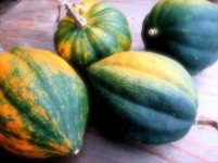 image of acorn_squash #2