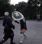 image of shield